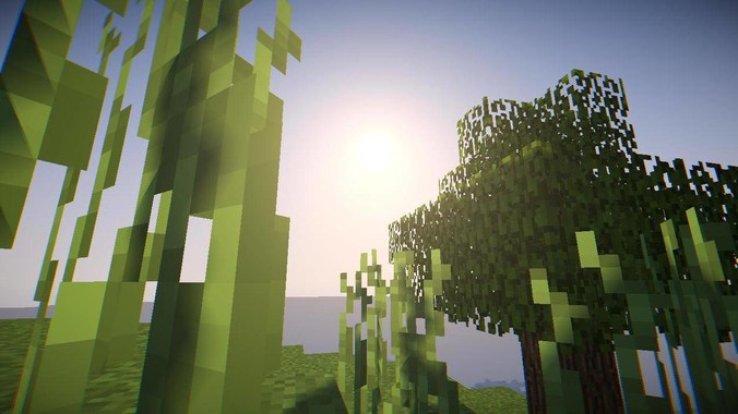 你曾看到空乘做过的最傻的事情是什么？